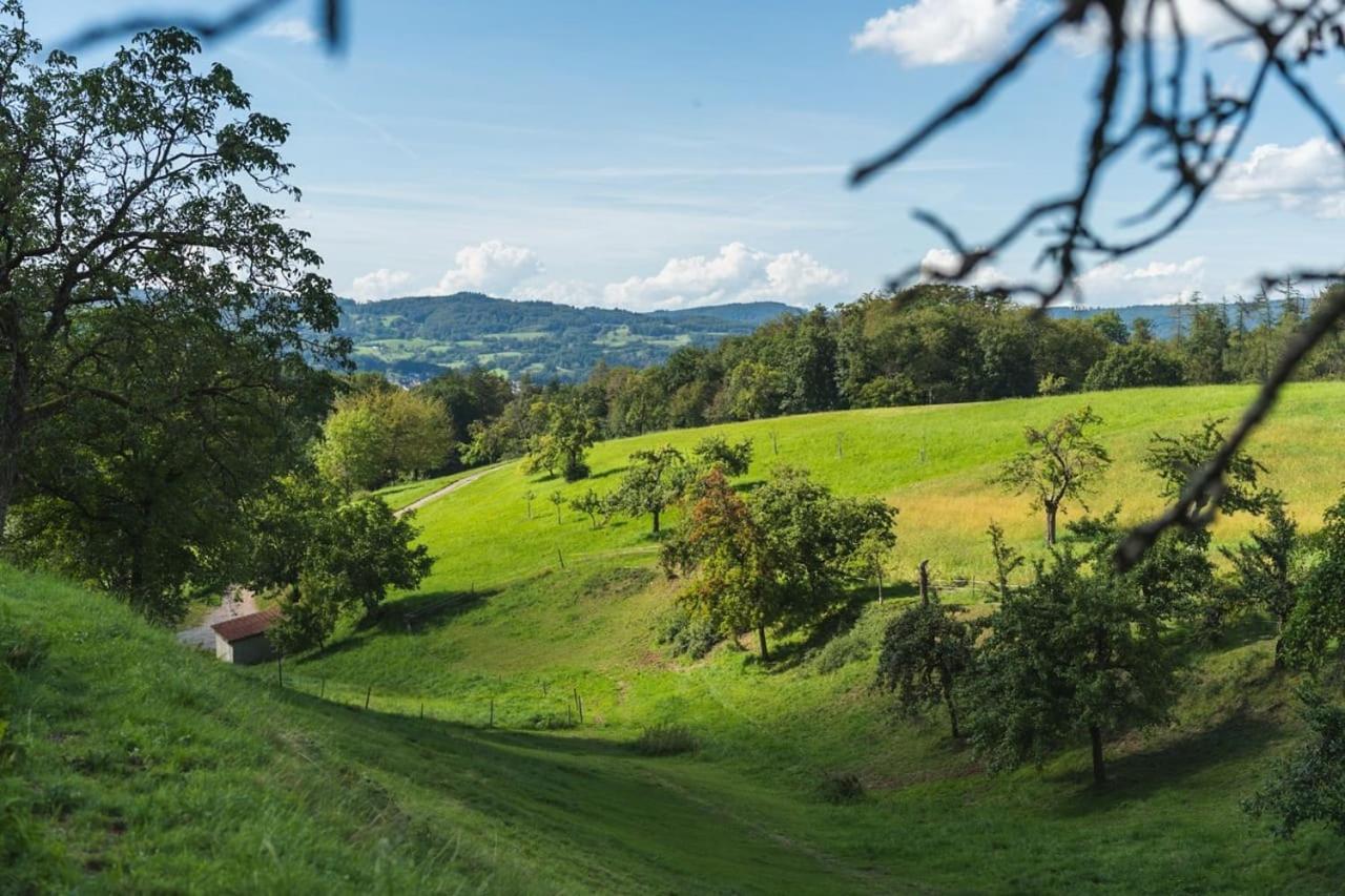 דירות Gruenewaldhof In Rimbach Im Odenwald מראה חיצוני תמונה