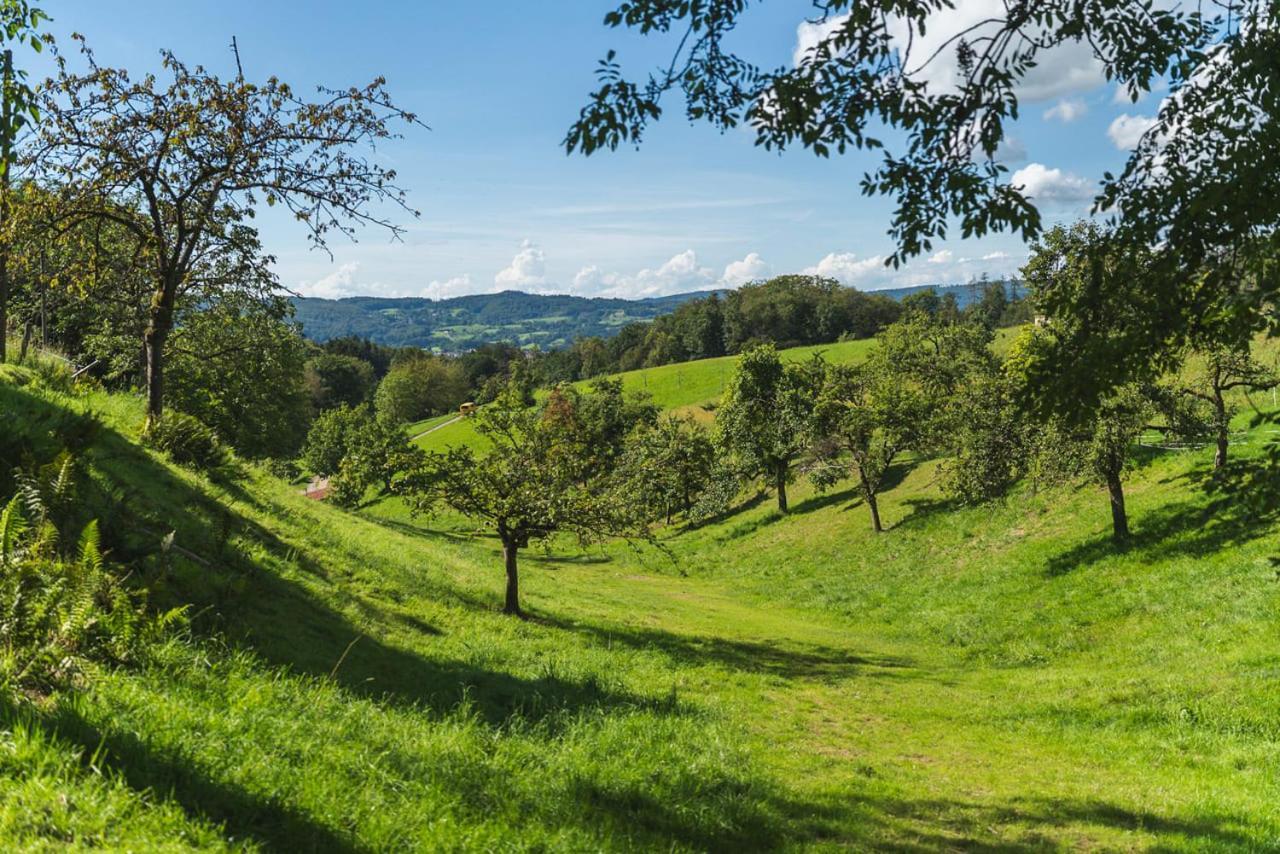 דירות Gruenewaldhof In Rimbach Im Odenwald מראה חיצוני תמונה